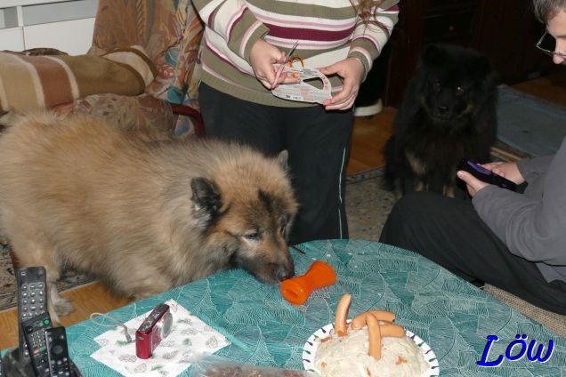 25.1.2025 - Dwix hat an Howard's Geschenke Interesse